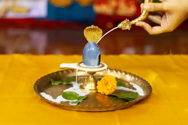 शिव रुद्राभिषेक पूजा से दूर होते हैं नवग्रह दोष, जानिए  विधि, मंत्र सहित संपूर्ण जानकारी